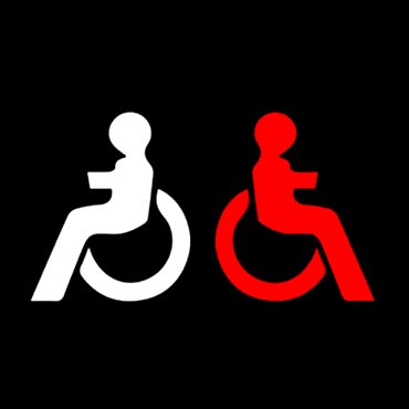 Differently Abled Icon